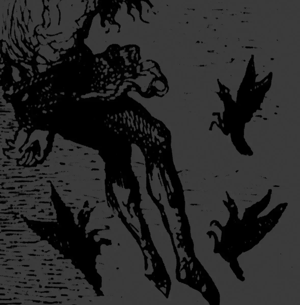 AGALLOCH · The Demonstration Archive: 1996-1998 | SMOKE 2LP (Black Metal Vinyl) · Bild 1