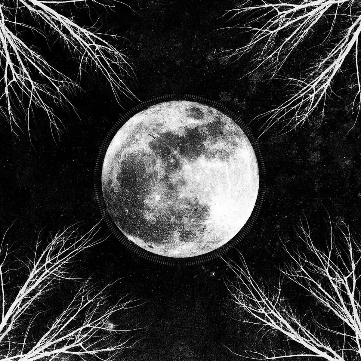 CORPUS CHRISTII · Palemoon [BLACK] | LP (Black Metal Vinyl) · Bild 1
