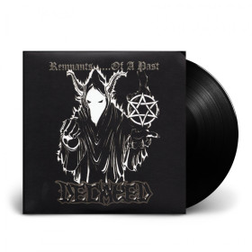 DECAYED · Remnants ... Of A Past | BLACK 7" EP (Black Metal Vinyl)