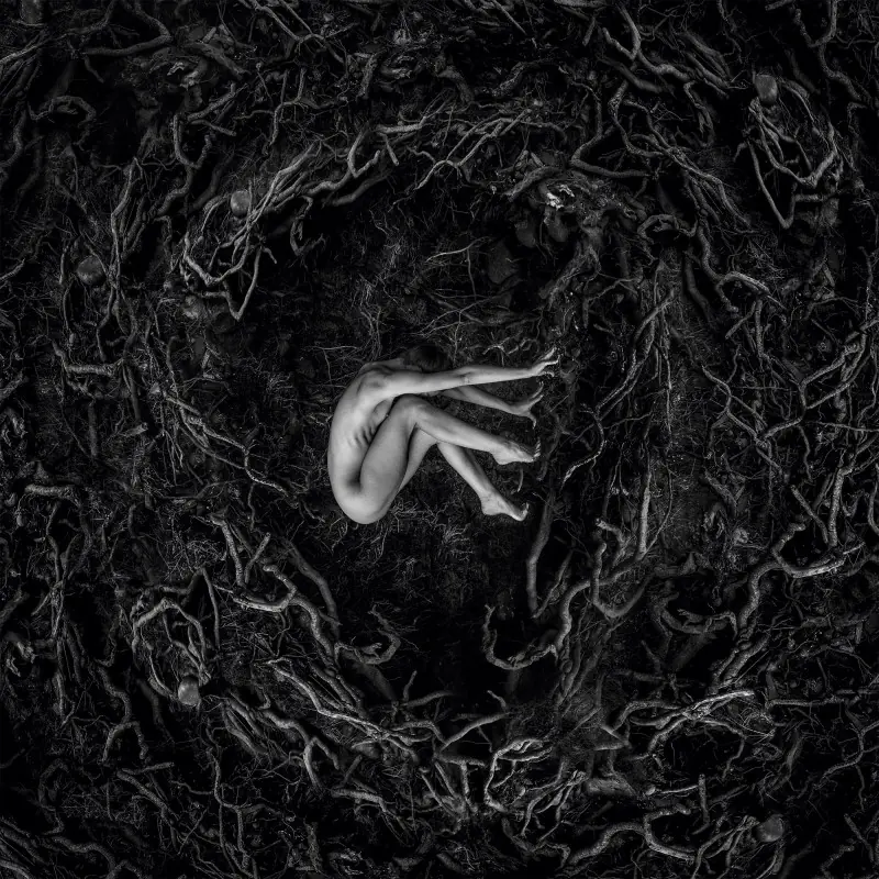 FVNERALS · Let The Earth Be Silent | GREY/BLACK LP (Doom Metal Vinyl) · Bild 1