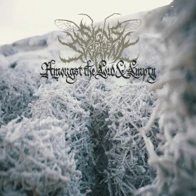 SIGNS OF THE SWARM · Amongst The Low & Empty | BLACK LP (Deathcore Vinyl) · Bild 1