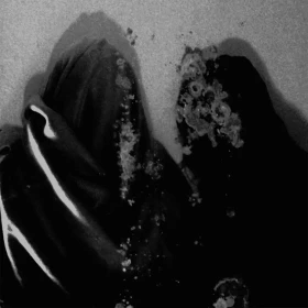 FLUISTERAARS · Luwte | BLACK LP (Black Metal Vinyl) · Bild 1