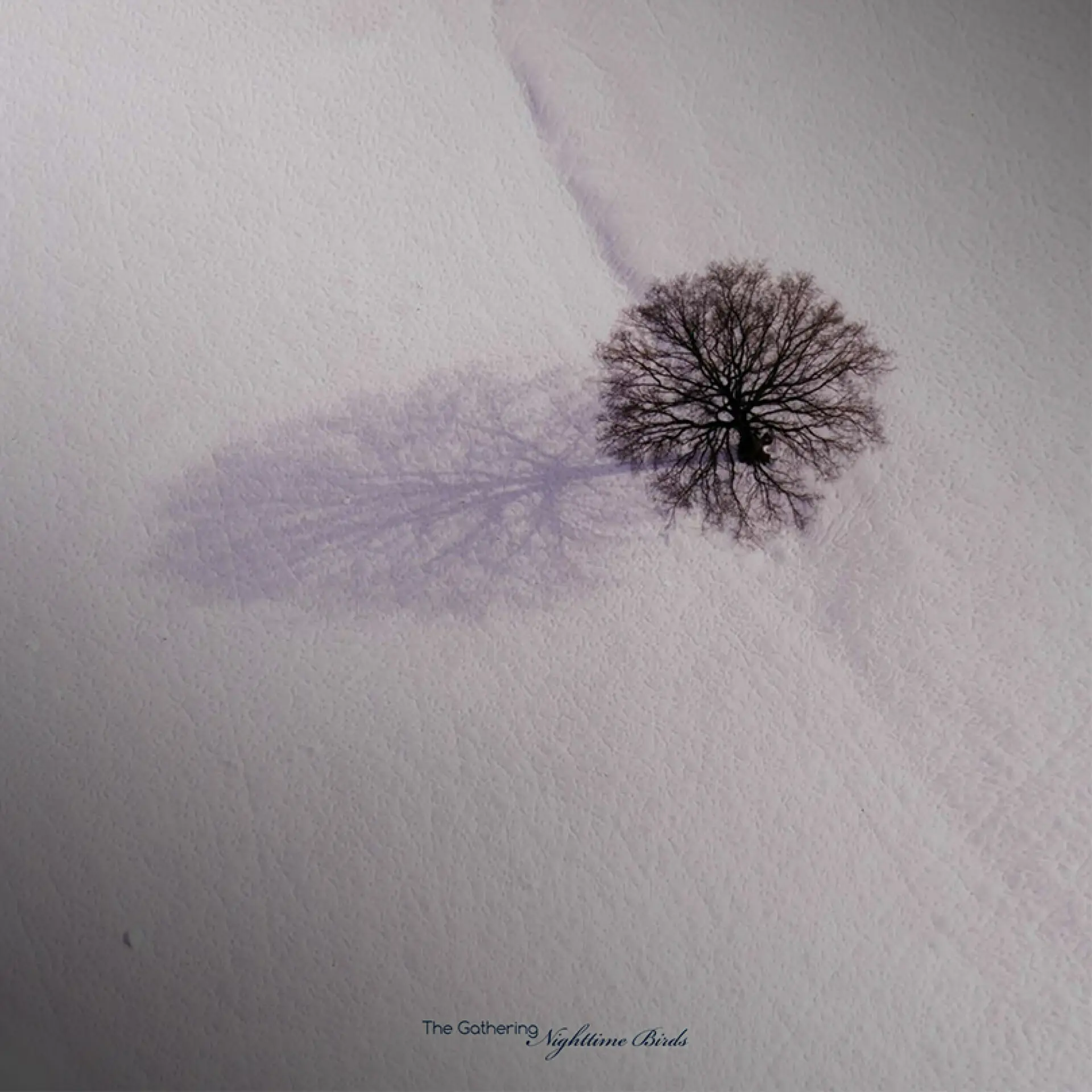 THE GATHERING · Nighttime Birds | BLACK LP (Progressive Metal Vinyl) · Bild 1