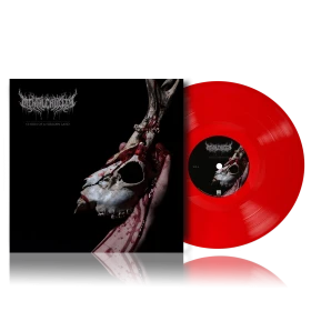 MENTAL CRUELTY - Echoes of a Forlorn Land [TRANSPERENT RED LP] (Death Metal Vinyl) · Bild 2
