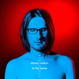 STEVEN WILSON · To The Bone | BLACK 2LP (Progressive Rock Vinyl) · Bild 1