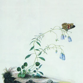 BOTANIST · I: The Suicide Tree / II: A Rose From The Dead | BLUE/MINT 2LP (Black Metal/Progressive Metal/Post Metal Vinyl) · Bild 1