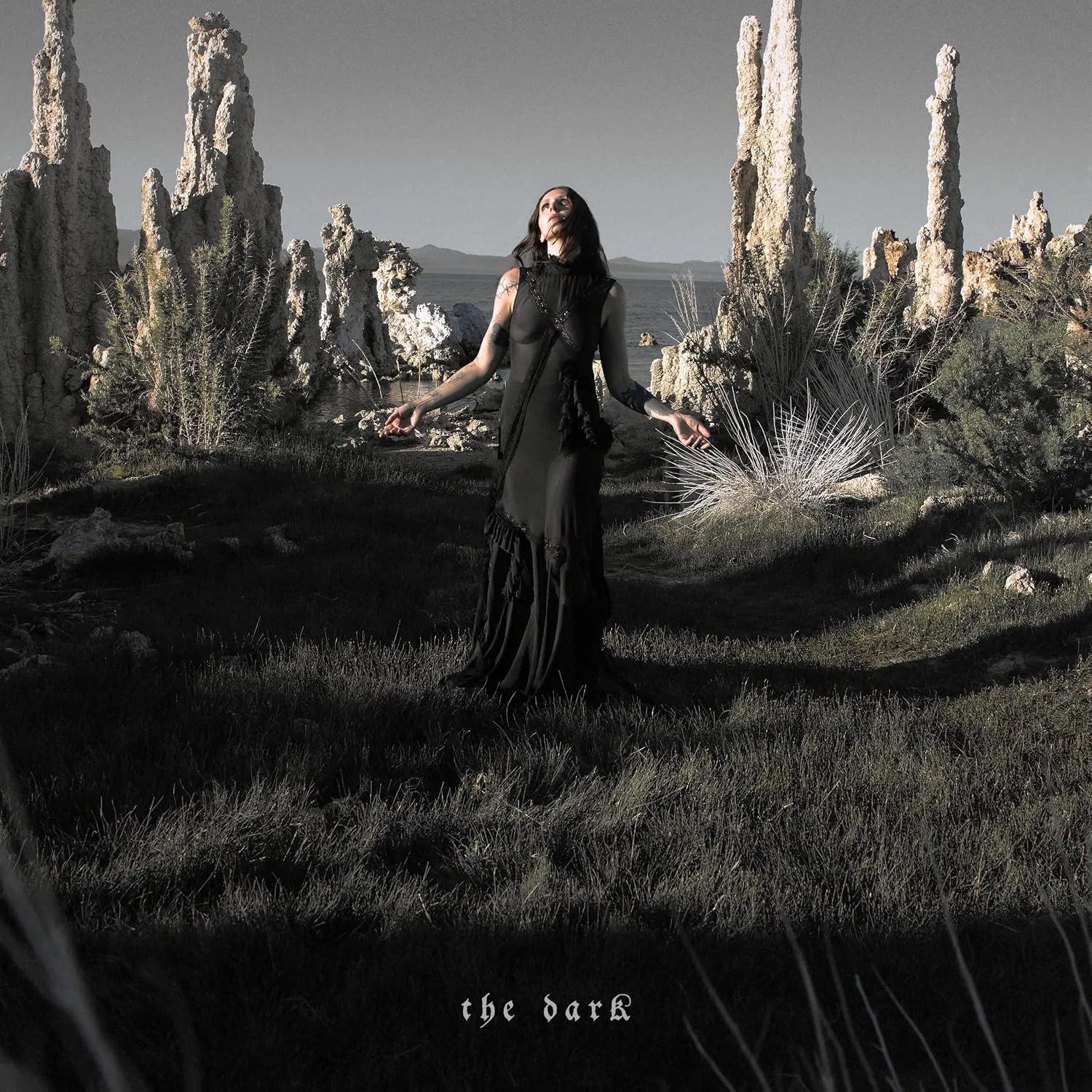 CHELSEA WOLFE · The Dark | DIGIPAK CD (Rock CDs)