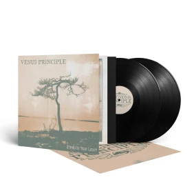 VENUS PRINCIPLE · Stand In Your Light | BLACK 2LP (Dark Rock Vinyl) · Bild 2