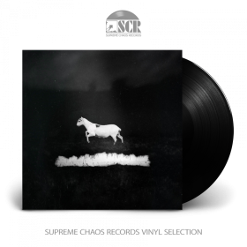 LES DISCRETS · Prédateurs | BLACK LP (Progressive Rock Vinyl)