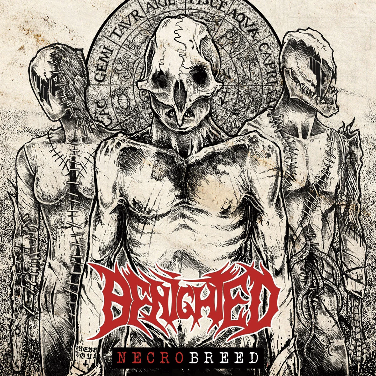 BENIGHTED · Necrobreed | BLACK LP (Death Metal Vinyl) · Bild 1