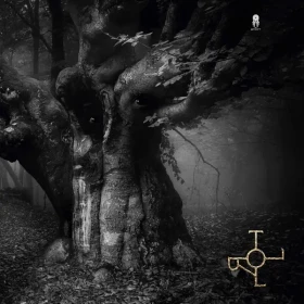 DROTT · Troll | BLACK LP (Progressive Rock/Folk Rock Vinyl) · Bild 1