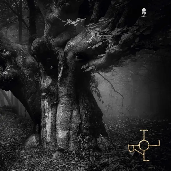 DROTT · Troll | BLACK LP (Progressive Rock/Folk Rock Vinyl) · Bild 1